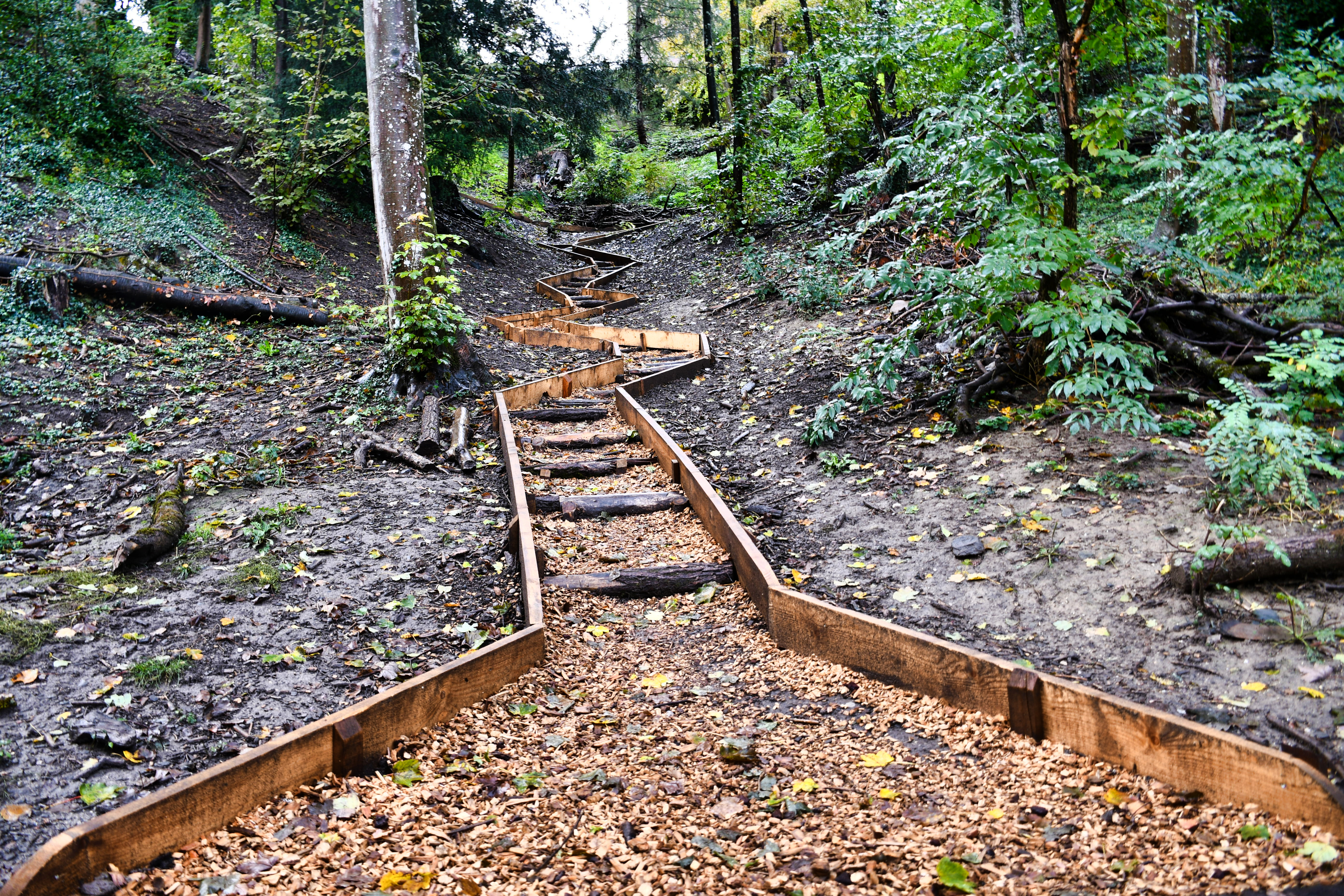 promenade forêt de gottettaz rejoint béthusy